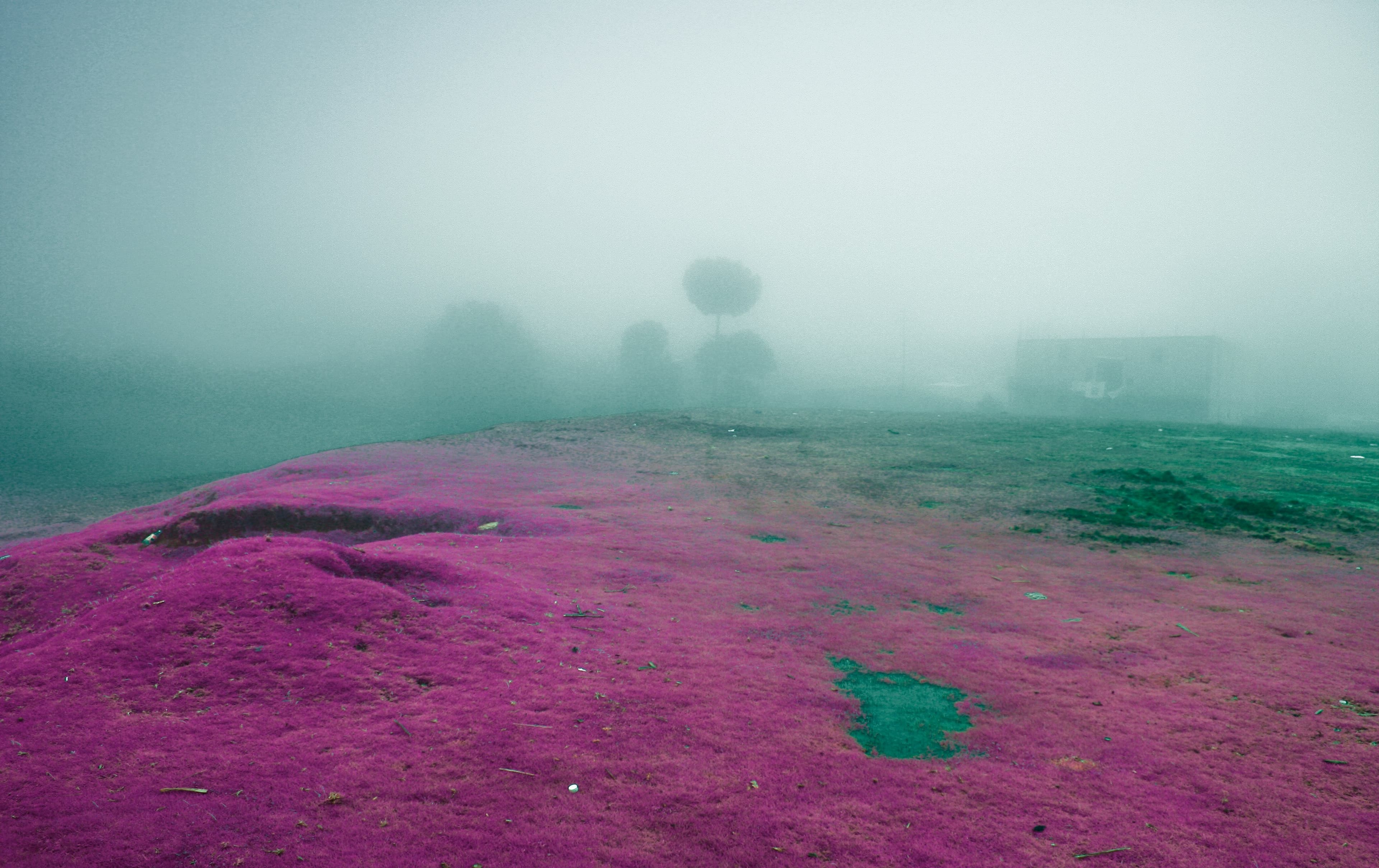 Third Path — a clear gaze