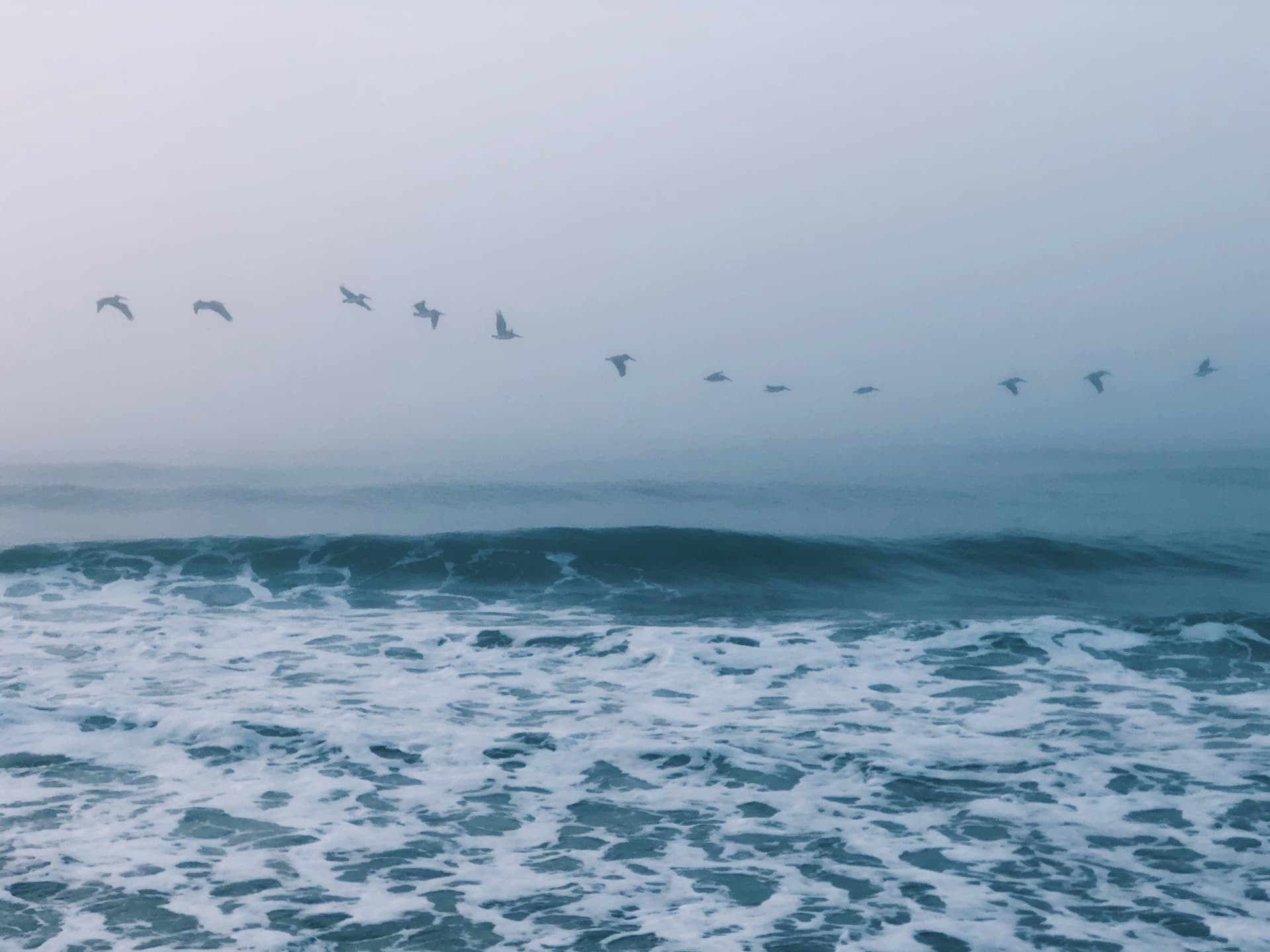 Autistic spectrum disorders